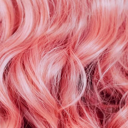 Blowout Club at Taryn Presley Hair in San Antonio, TX